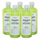 Shampoo Bergamota Florigan 1lt Crecimiento De Cabello Pack 5