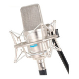 Microfone Condensador Alctron Tl39 C/ Case De Madeira Sj Cor Prateado
