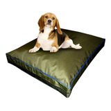 Colchon Liso Antidesgarro 75x55x10 Cm Cama Para Perros