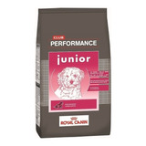 Royal Canin Performance Junior 15 Kg Cachorros Envio Caba