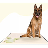 Tapete Higiênico Cães Lavável Canino Xixi Dog Grande 100x90