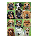 Puzzle Rompecabeza 500 Piezas Collage De Perros Educa 17963