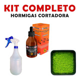 Kit Insecticida Veneno Mata Hormigas + Cebo Granulado 250gr