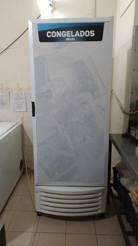 Freezer Vertical Ciego Inelro Bt-19