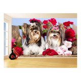 Adesivo De Parede Animais Yorkshire Pet Shop 9m² Anm363