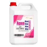 Bidon Agua Oxigenada Cremosa 20v 30v 40v - 5 Ltrs