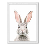 Cuadro Infantil Bebes 50x60 Chato Blanco Bunny Rabbit Conejo