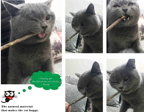 Cat Catnip Stick, Plata Vine Para Dientes De Molienda Juguet