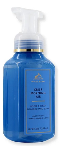 Sabonete Espuma Mãos Crisp Morning Air - Bath And Body Works