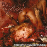 Vulvectom - Putrescent Clitoral Fermentation Cd Carcass