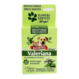 Esencia Valeriana Pets And Cats X 25ml