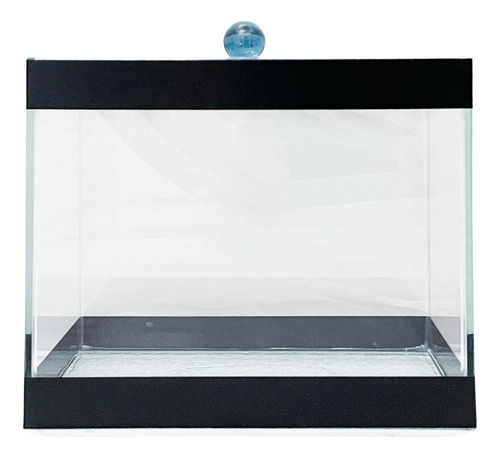 Aquário Para Peixe Betta Betteira 2 Litros 17x9x14cm