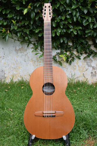 Guitarra De Luthier González Fischer 