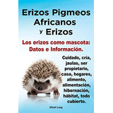 Erizos Pigmeos Africanos Y Erizos. Los Erizos Como Mascota: