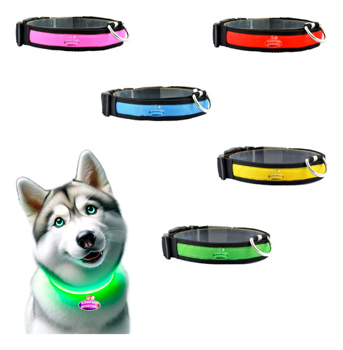 Collar Arnes Led Luminoso Husky Recargable Usb Perro Gato