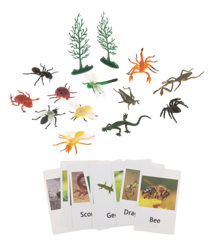 Figuras De Animales Montessori Con Tarjetas Flash Insectos
