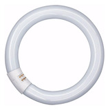 Tubo Circular Fluorescente 22w Luz Dia 6400k Yarlux