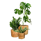 3 Cachepots Palha De Taboa P M G Plantas Casa Jardim Decor 