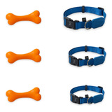 3 Brinquedos Ossinho Para Cachorro + Coleiras Azul P - M - G