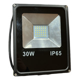 Reflector Proyector 30w Led Luz Fria Dw