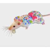 Roupa Vestido Para Rato Twister + Lacinho