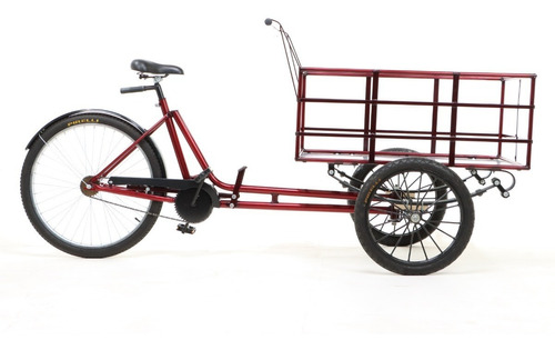 Bicicleta Triciclo De Carga Dianteira - Space