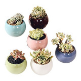 10 Maceteros Redondos De Ceramica, De Colores, Para Plantas