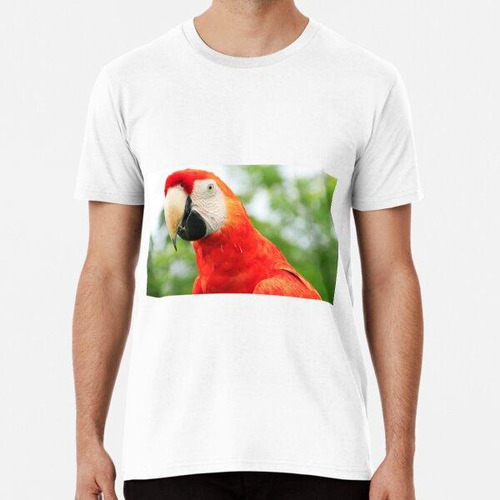 Remera Guacamayo Ave Fotografiada En La Selva En Panamá, Cen