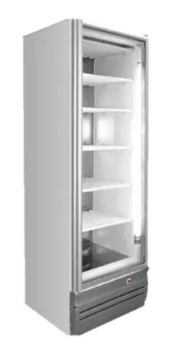 Freezer Exhibidor Vertical Fam 420bt Baja Temperatura -18ºc