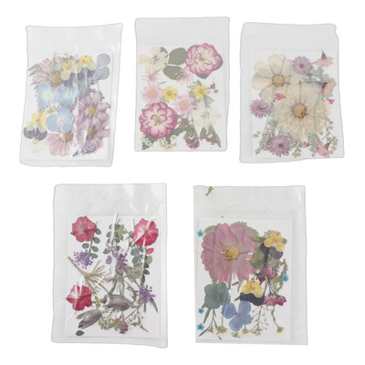 5 Paquete Flores Secas Naturales Prensadas Para Manualidades | Meses sin interés