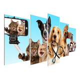 Kit Quadro Decorativo Medicina Veterinária Cães Gatos 3mm