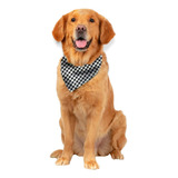 Kit Com 20un Bandana Lenço Pet Junino Cães E Gatos