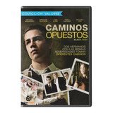 Caminos Opuestos Black Irish Michael Angarano Pelicula Dvd