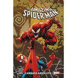 Amazing Spider-man  Vol.04