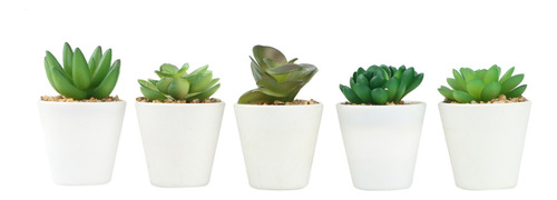 Set De 5 Plantas Suculentas Artificiales, Pequeñas Suculenta