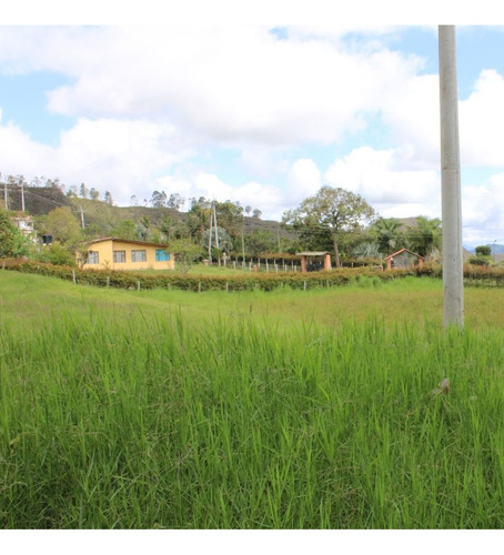 Vive El Sueño: Venta De Finca Con Casa, Paraíso Rodeado De Naturaleza, Confort Y Tranquilidad. - Imagen 4