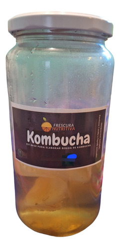 Scoby Para Preparar Kombucha. Frescura Nutritiva 