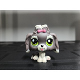 Littlest Pet Shop Dog #1523 Lhaso Apso Green Dot Eyes