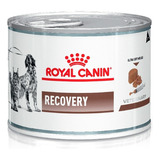 Royal Canin Recovery Perro Y Gato Lata De 195gr - Por Unidad