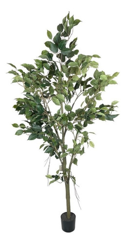 Ficus Artificial 150cm  - Corel