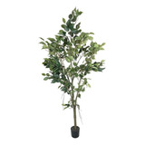 Ficus Artificial 150cm  - Corel