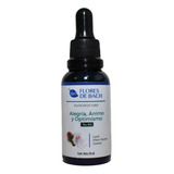 Flores De Bach Alegría Ánimo Y Optimismo 30ml Marca Blen