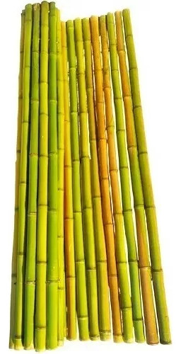 Cerco De Cañas Pergolas Tacuara Bambu Cañas Sueltas 