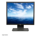 Monitor Dell P2016 Lcd 19.5  Preto E Prata 100v/220v