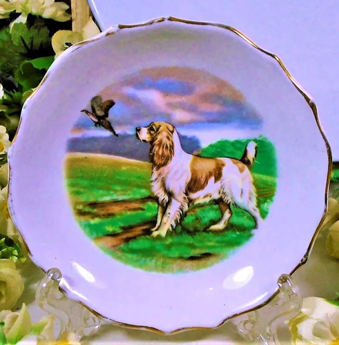 Set 2 Platos De Porcelana Tuscan England Bone China Año 1957