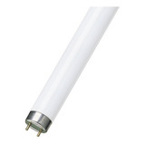 Pack X25 Tubo Fluorescente 36w T8 Luz Fria 2400lm 1.2mt