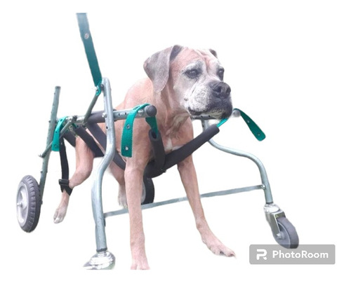 Carrito Andador 4 Ruedas Para Perros De 46 A 55kg