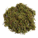 Musgo Artificial Imikeya: Musgo Artificial Verde De 2.12 Oz