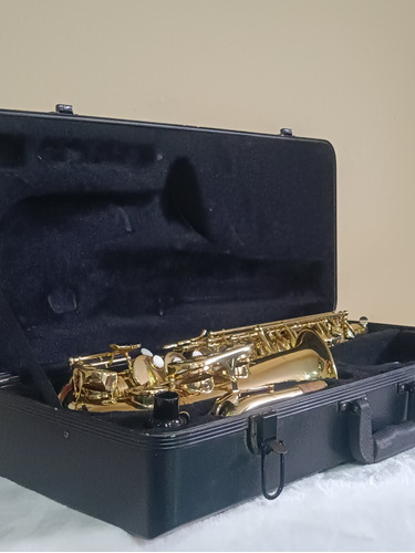 Saxofón Alto Silvertone Con Estuche Semi Usado
