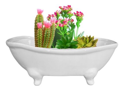 Maceta Bañera Minimalista Cactus Suculentas